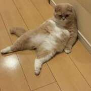 ヒメ日記 2025/09/15 09:40 投稿 あやか しゅうかつ倶楽部