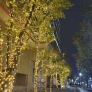 ヒメ日記 2025/11/14 10:43 投稿 あやか しゅうかつ倶楽部