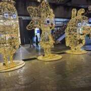 ヒメ日記 2025/11/28 17:33 投稿 あやか しゅうかつ倶楽部