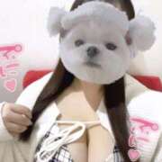 ヒメ日記 2025/04/20 20:52 投稿 ゆな 川越ぽちゃまに