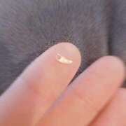 ヒメ日記 2025/04/24 19:46 投稿 ももか マリン千姫