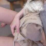 ヒメ日記 2025/06/27 06:43 投稿 ももか マリン千姫