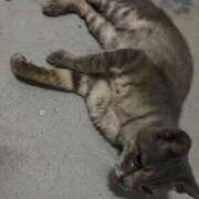 ヒメ日記 2025/07/02 01:36 投稿 ももか マリン千姫