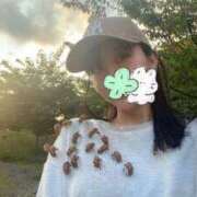 ヒメ日記 2025/07/25 06:06 投稿 ももか マリン千姫