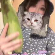 ヒメ日記 2025/09/11 12:03 投稿 ももか マリン千姫