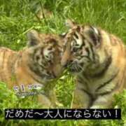 ヒメ日記 2025/09/28 03:22 投稿 ももか マリン千姫