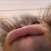 ヒメ日記 2025/09/30 21:12 投稿 ももか マリン千姫