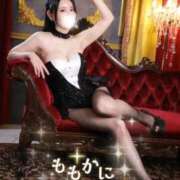 ヒメ日記 2025/10/08 12:18 投稿 ももか マリン千姫