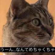 ヒメ日記 2025/10/13 19:32 投稿 ももか マリン千姫
