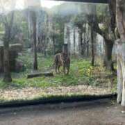 ヒメ日記 2025/11/30 15:12 投稿 ももか マリン千姫