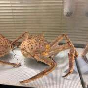 ヒメ日記 2025/10/12 12:20 投稿 しん シークレットサービス