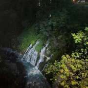 しん 次回の出勤 シークレットサービス