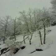 ヒメ日記 2026/01/09 20:47 投稿 しおん Lounge Yoki東京