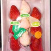 ヒメ日記 2026/03/14 20:57 投稿 しおん Lounge Yoki東京