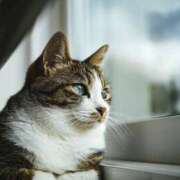 ヒメ日記 2025/04/21 10:45 投稿 いのり 奥鉄オクテツ東京店（デリヘル市場）