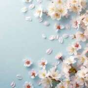 ヒメ日記 2025/04/25 14:45 投稿 いのり 奥鉄オクテツ東京店（デリヘル市場）