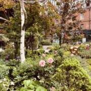 ヒメ日記 2025/05/23 09:10 投稿 いのり 奥鉄オクテツ東京店（デリヘル市場）