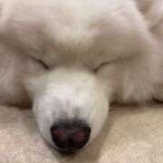 ヒメ日記 2025/08/04 17:36 投稿 すず【完全業界未経験】 La.qoo　金沢本店