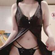 ヒメ日記 2025/07/25 16:02 投稿 荻原ももこ セクシーキャット 神田店