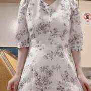 ヒメ日記 2025/08/06 23:23 投稿 荻原ももこ セクシーキャット 神田店