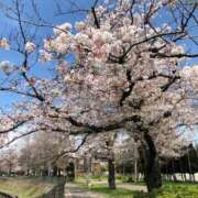 ヒメ日記 2026/03/23 14:28 投稿 荻原ももこ セクシーキャット 神田店
