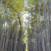 ヒメ日記 2026/04/20 11:30 投稿 荻原ももこ セクシーキャット 神田店