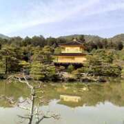 ヒメ日記 2026/04/27 12:48 投稿 荻原ももこ セクシーキャット 神田店