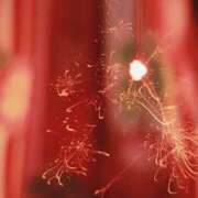 ヒメ日記 2025/06/01 19:46 投稿 くるみ 熟女の風俗最終章 新潟店