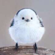 ヒメ日記 2026/01/22 21:23 投稿 くるみ 熟女の風俗最終章 新潟店