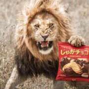 ヒメ日記 2026/03/05 19:48 投稿 くるみ 熟女の風俗最終章 新潟店