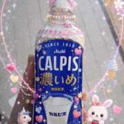 ヒメ日記 2026/03/24 22:31 投稿 くるみ 熟女の風俗最終章 新潟店