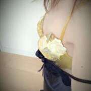 ヒメ日記 2025/09/08 08:25 投稿 みどり 逢って30秒で即尺