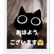 ヒメ日記 2025/04/22 07:57 投稿 塚本奈美恵 五十路マダム 博多店