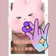 ヒメ日記 2025/04/29 20:57 投稿 塚本奈美恵 五十路マダム 博多店