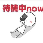 ヒメ日記 2025/05/19 14:11 投稿 塚本奈美恵 五十路マダム 博多店