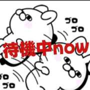 ヒメ日記 2025/06/07 14:47 投稿 塚本奈美恵 五十路マダム 博多店