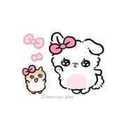 ヒメ日記 2025/06/17 19:01 投稿 白鳥みほ（新人割引4/24まで） ウルトラグレイス24