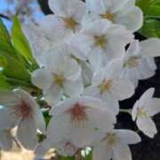 さゆりさん 初めまして😊 鶯谷のデリヘル桃山