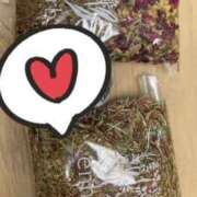 ヒメ日記 2025/04/25 10:58 投稿 橋爪るな エルドール