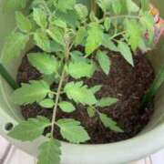 ヒメ日記 2025/05/24 11:31 投稿 橋爪るな エルドール