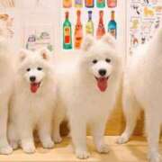 ヒメ日記 2025/05/09 03:16 投稿 瀬戸 熟女の風俗最終章 新横浜店