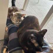 ヒメ日記 2025/06/29 21:36 投稿 瀬戸 熟女の風俗最終章 新横浜店