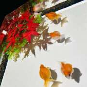 ヒメ日記 2025/08/18 21:56 投稿 瀬戸 熟女の風俗最終章 新横浜店