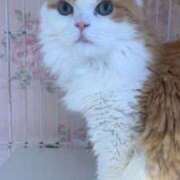 ヒメ日記 2025/08/24 09:56 投稿 瀬戸 熟女の風俗最終章 新横浜店