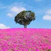 ヒメ日記 2025/09/07 21:56 投稿 瀬戸 熟女の風俗最終章 新横浜店