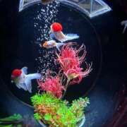 瀬戸 おはようございます☀️ 熟女の風俗最終章 新横浜店