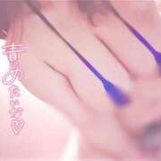 ヒメ日記 2025/04/20 14:38 投稿 鎌倉 BBW（ビッグビューティフルウーマン）