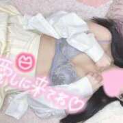 ヒメ日記 2025/04/24 14:38 投稿 ☆しずか☆ ◆プラウディア◆AAA級素人娘在籍店