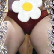 ヒメ日記 2025/04/27 12:58 投稿 ゆきの 熟女の風俗最終章 沼津店