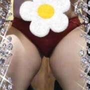 ヒメ日記 2025/11/20 09:40 投稿 ゆきの 熟女の風俗最終章 沼津店